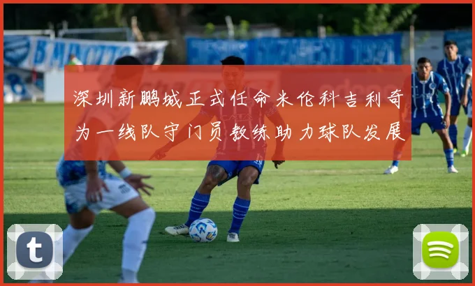 深圳新鹏城正式任命米伦科吉利奇为一线队守门员教练助力球队发展