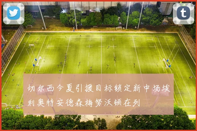 切尔西今夏引援目标锁定新中场埃利奥特安德森梅努沃顿在列